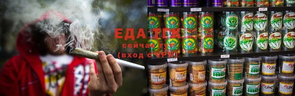индика Снежинск