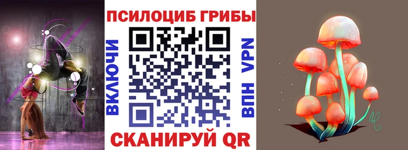 Галлюциногенные грибы Psilocybe  Западная Двина 